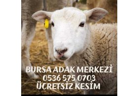 BURSA ADAK MERKEZİ